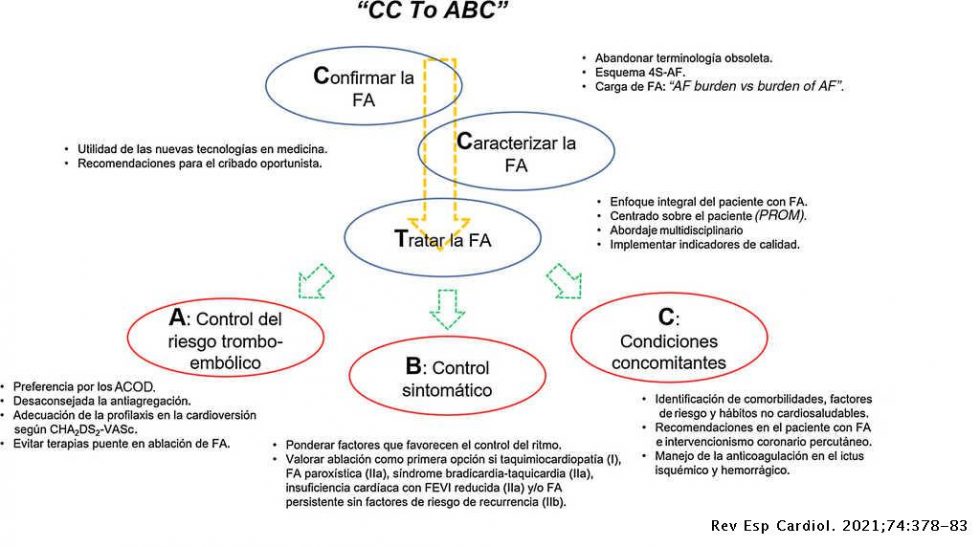 Comentarios A La Guía ESC/EACTS 2020 Sobre El Diagnóstico Y Tratamiento ...