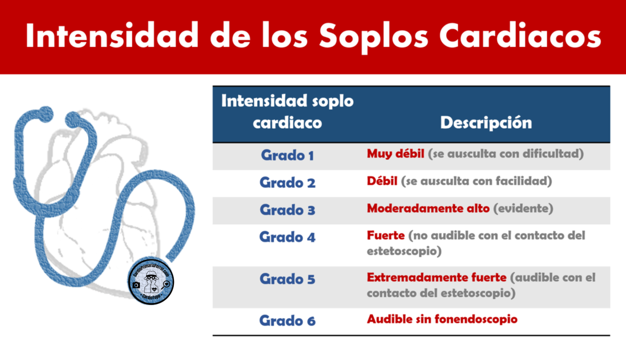 Cardiotruco Exploración De Soplos Cardíacos Cardioprimaria Ferrol